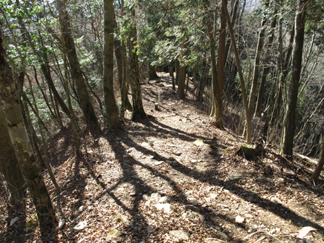 20161206hike (325)